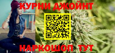 гидра Рязань