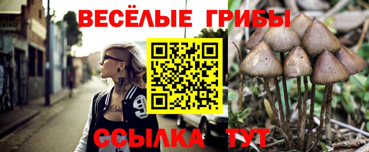 Галлюциногенные грибы ЛСД Рубцовск