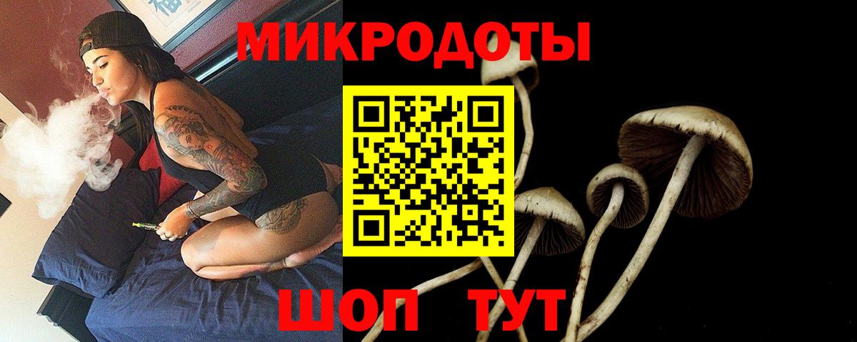 Рубцовск  Псилоцибиновые грибы Psilocybe  как найти наркотики  Вход с VPN  Псилоцибиновые грибы Cubensis 